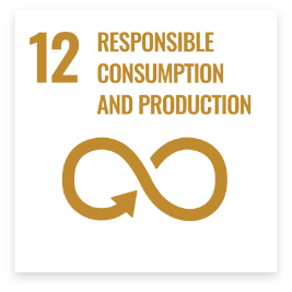 Responsible Consumption and Production